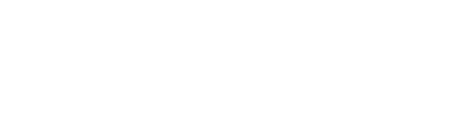 THE XIII